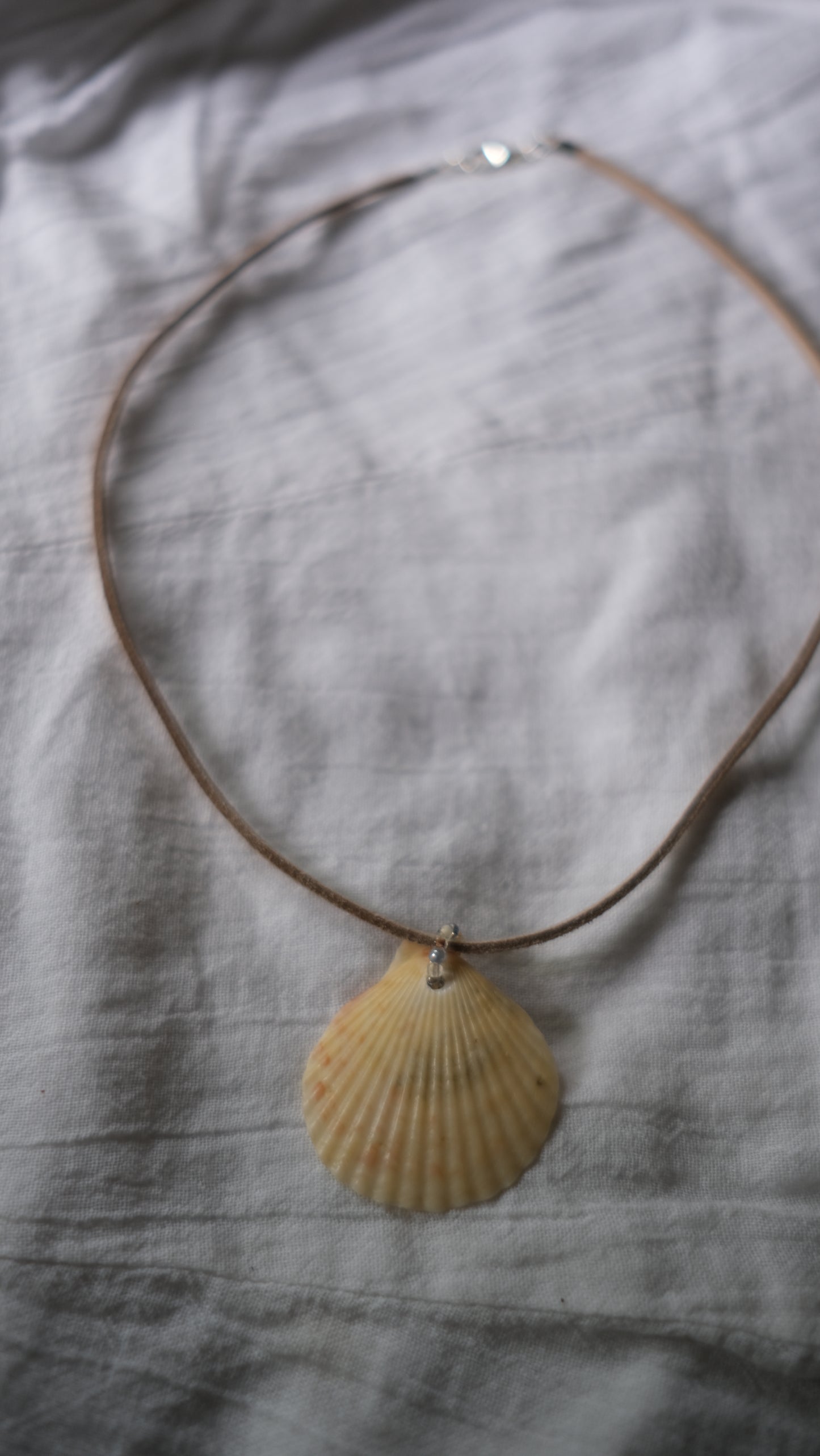 Scallop Shell Suede Necklace