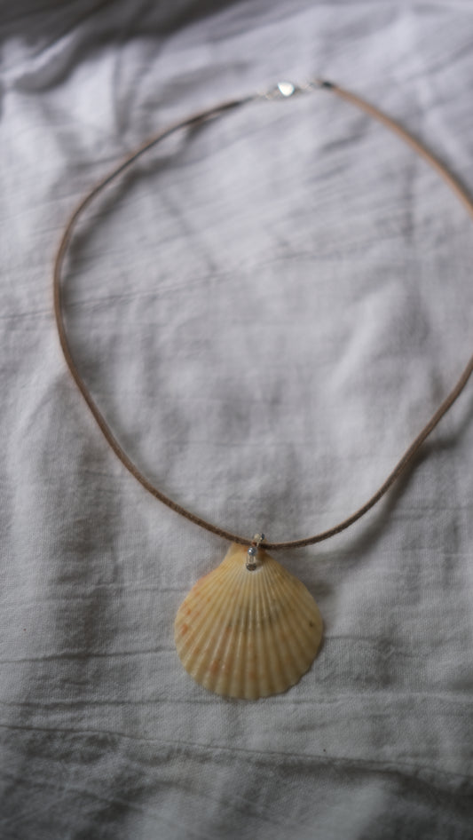 Scallop Shell Suede Necklace