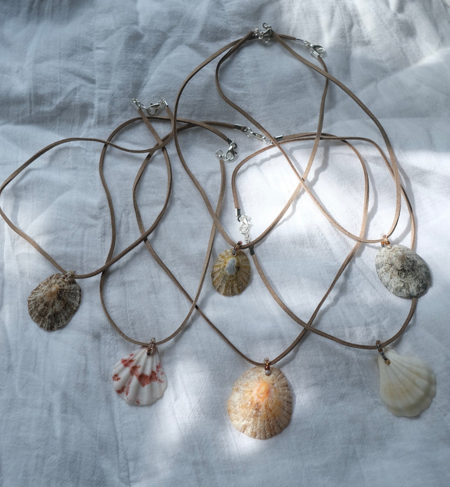 Limpet Shell Necklace