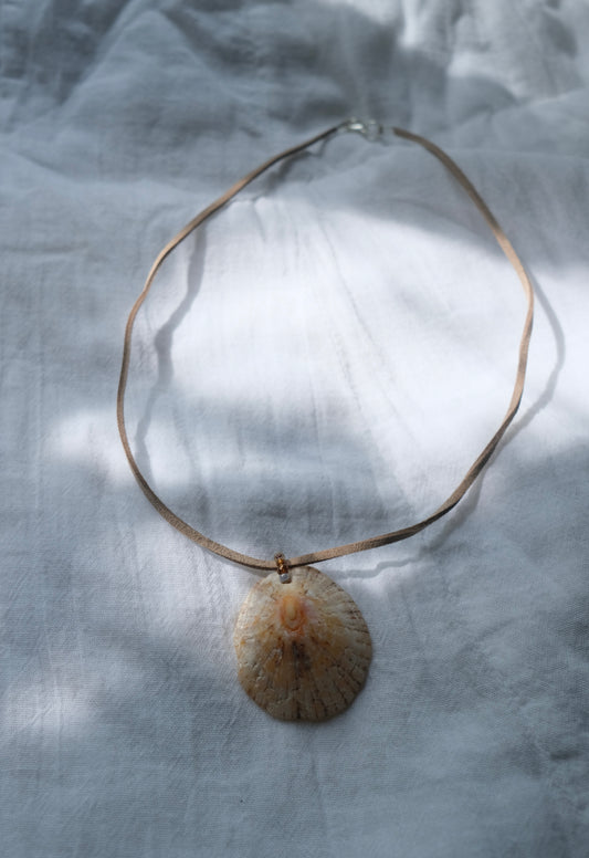 Limpet Shell Necklace