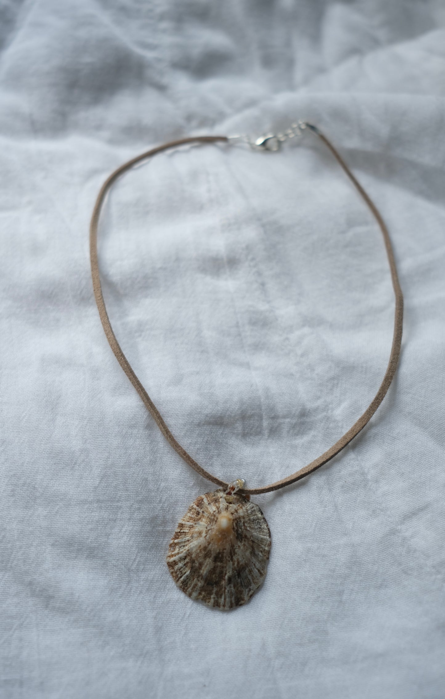 Limpet Shell Necklace