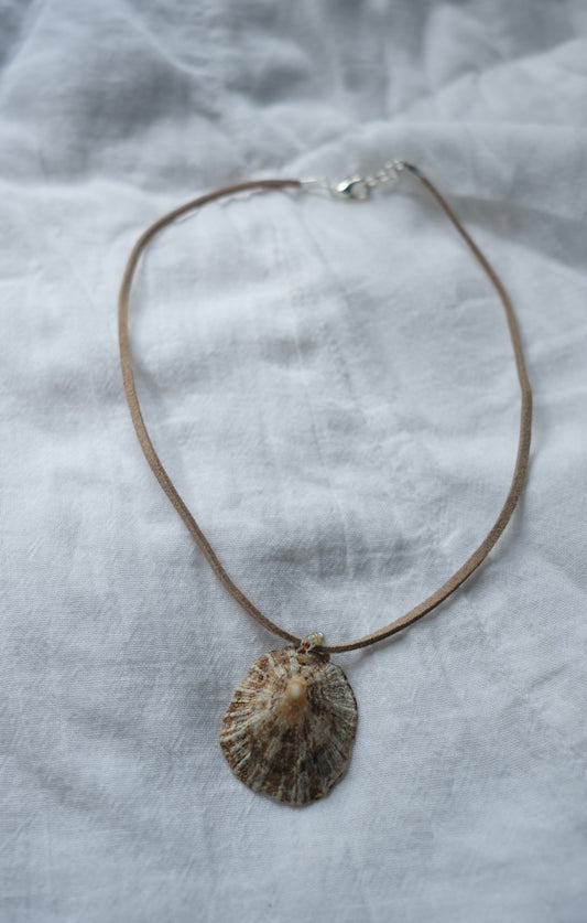 Limpet Shell Necklace