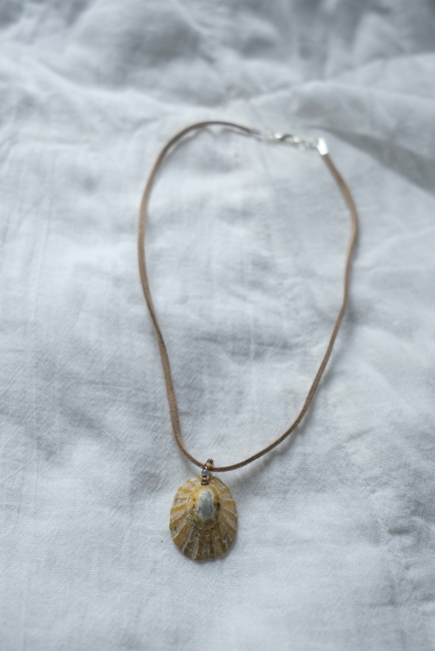 Limpet Shell Necklace